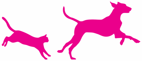 Dra. Daniella Link M.V.